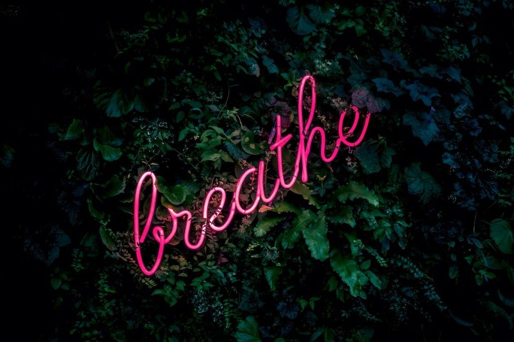 Gezeigt ist ein 3D-Render einer Motion Design Firma in Berlin. Wir sehen das Wort “Breathe” in pinker Farbe und schnörkeliger Schrift, welches in 3D auf grünen Blättern liegt.