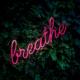 Gezeigt ist ein 3D-Render einer Motion Design Firma in Berlin. Wir sehen das Wort “Breathe” in pinker Farbe und schnörkeliger Schrift, welches in 3D auf grünen Blättern liegt.